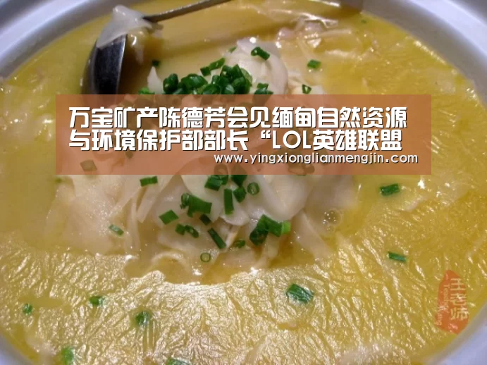 万宝矿产陈德芳会见缅甸自然资源与环境保护部部长“LOL英雄联盟投注 - 官方电竞竞猜平台官网”(图4) 电竞直播