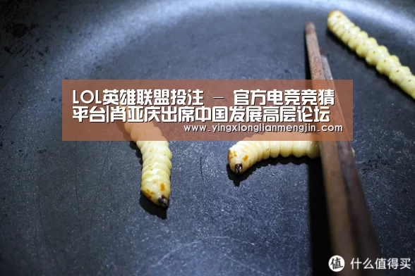 LOL英雄联盟投注 - 官方电竞竞猜平台官网