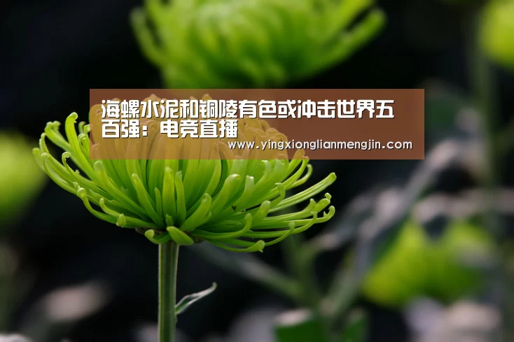 海螺水泥和铜陵有色或冲击世界五百强:电竞直播(图1) LOL英雄联盟投注 - 官方电竞竞猜平台