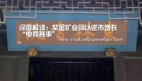 深度解读:紫金矿业何以逆市增长“电竞赛事”(图1) LOL英雄联盟投注 - 官方电竞竞猜平台官网