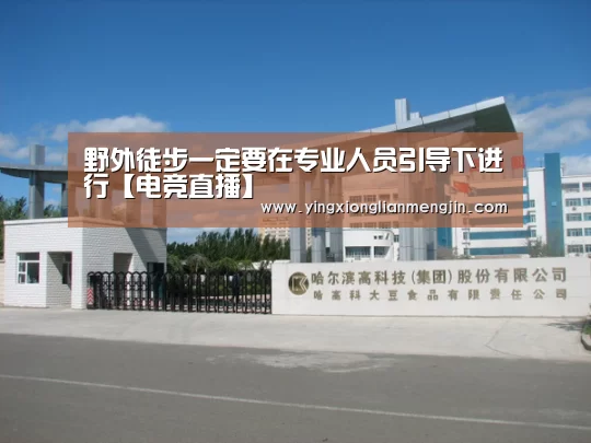 电竞直播