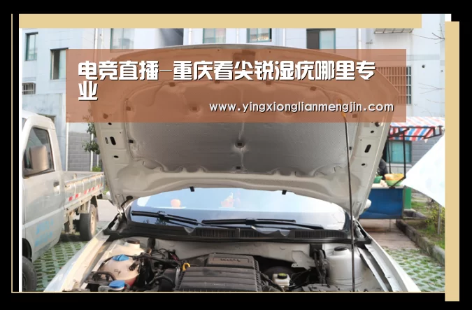 LOL英雄联盟投注 - 官方电竞竞猜平台