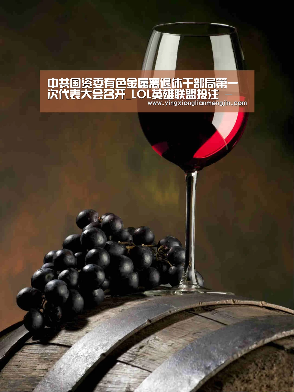 中共国资委有色金属离退休干部局第一次代表大会召开_LOL英雄联盟投注 - 官方电竞竞猜平台(图2) LOL英雄联盟投注 - 官方电竞竞猜平台