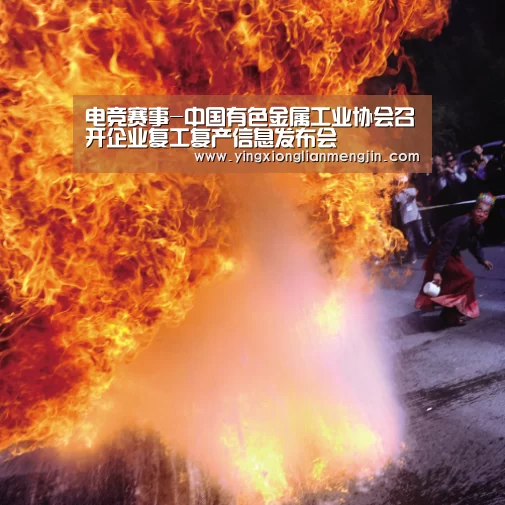 电竞赛事-中国有色金属工业协会召开企业复工复产信息发布会(图3) 电竞直播