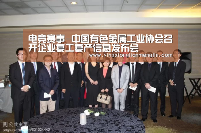 电竞赛事-中国有色金属工业协会召开企业复工复产信息发布会(图2) 电竞赛事