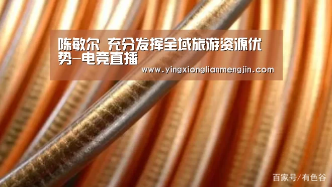 陈敏尔 充分发挥全域旅游资源优势-电竞直播(图1) LOL英雄联盟投注 - 官方电竞竞猜平台官网