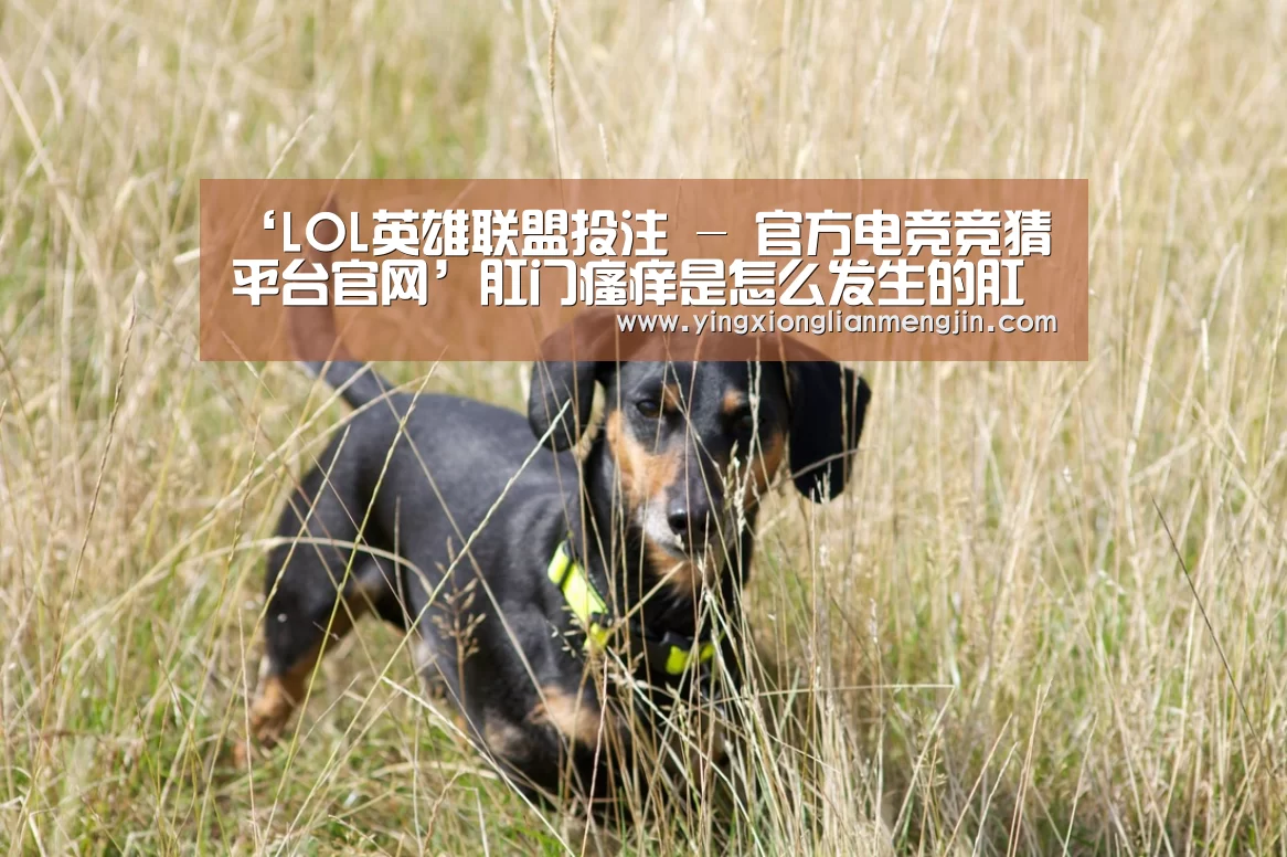 ‘LOL英雄联盟投注 - 官方电竞竞猜平台官网’肛门瘙痒是怎么发生的肛门瘙痒的护理方法(图1) LOL英雄联盟投注 - 官方电竞竞猜平台
