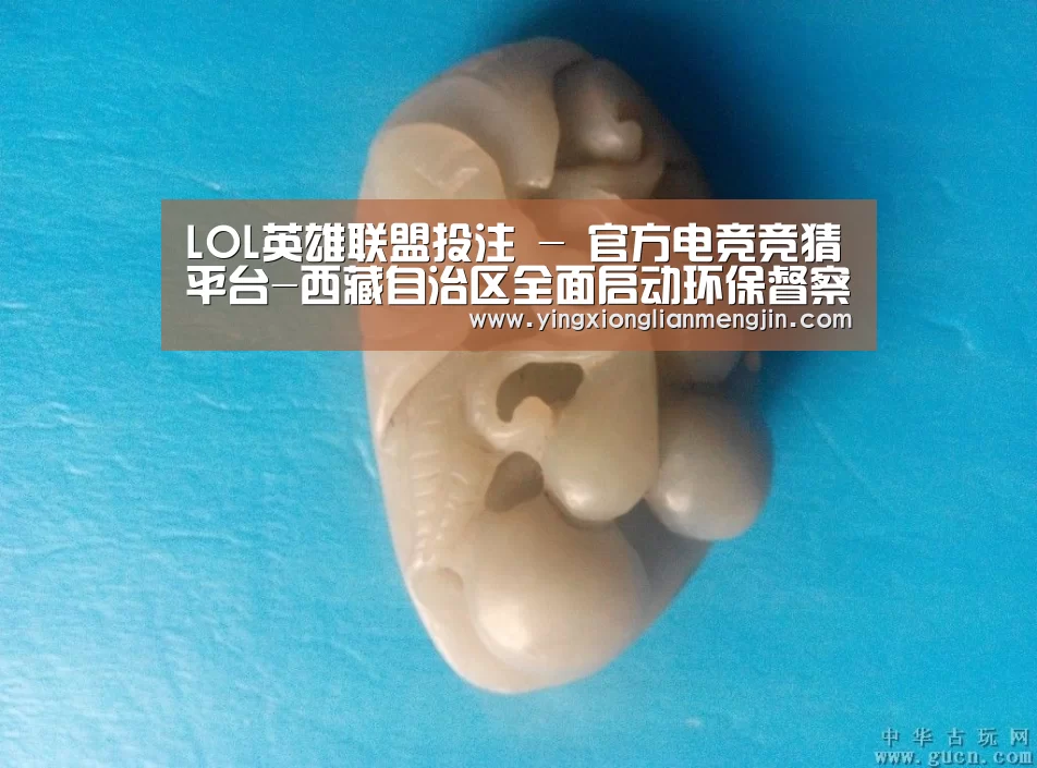 LOL英雄联盟投注 - 官方电竞竞猜平台-西藏自治区全面启动环保督察整改工作(图1) 电竞赛事
